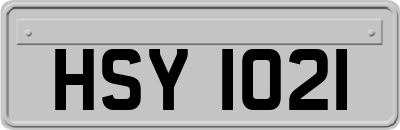 HSY1021