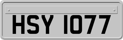 HSY1077