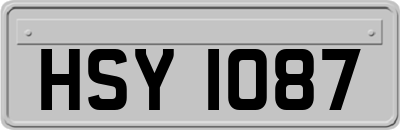 HSY1087