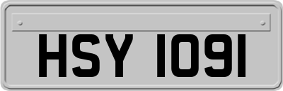 HSY1091