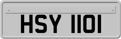 HSY1101