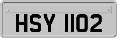 HSY1102