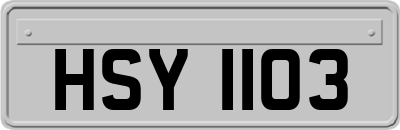 HSY1103