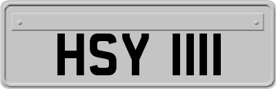 HSY1111