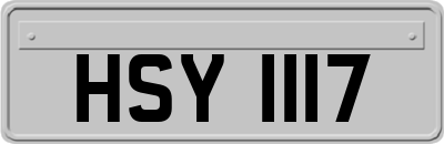 HSY1117