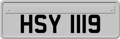 HSY1119