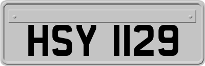 HSY1129