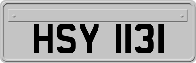 HSY1131