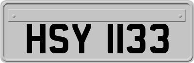 HSY1133