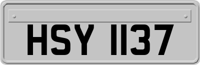 HSY1137