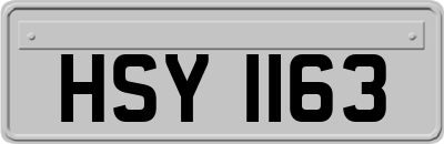 HSY1163