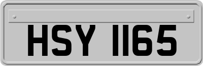HSY1165