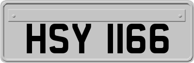 HSY1166