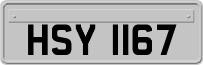 HSY1167