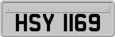 HSY1169