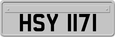HSY1171