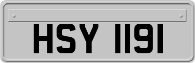 HSY1191
