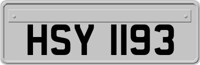 HSY1193