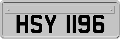 HSY1196