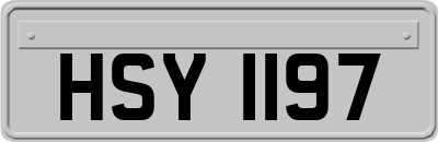 HSY1197