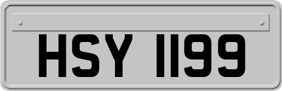 HSY1199