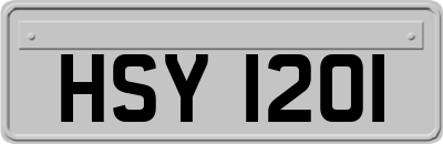 HSY1201