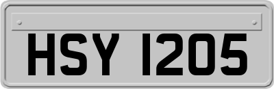 HSY1205