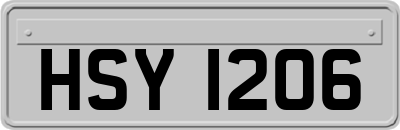 HSY1206