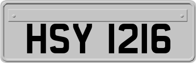 HSY1216