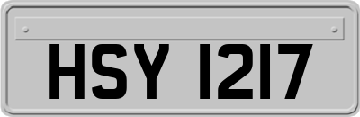 HSY1217