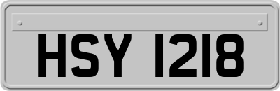HSY1218