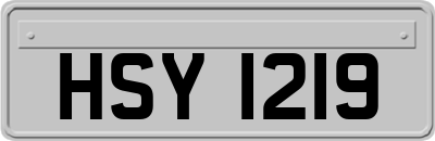 HSY1219