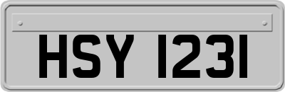 HSY1231