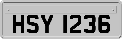 HSY1236