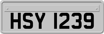 HSY1239