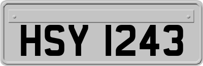 HSY1243