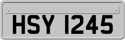 HSY1245
