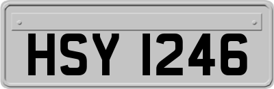 HSY1246