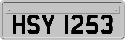 HSY1253