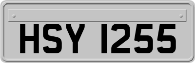 HSY1255