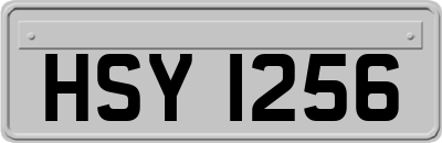 HSY1256