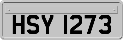 HSY1273