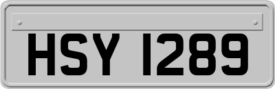 HSY1289