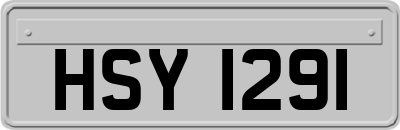 HSY1291