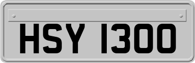 HSY1300