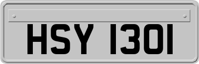 HSY1301