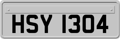 HSY1304