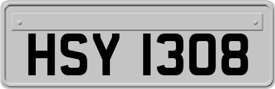 HSY1308