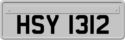 HSY1312