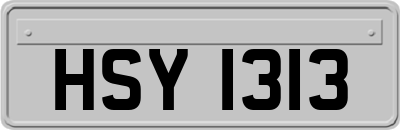 HSY1313